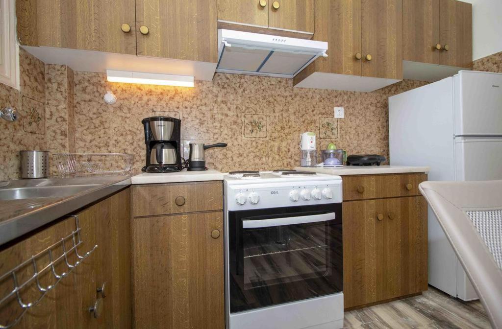 Apartmán Manousi 1- Ground Floor Mystras Exteriér fotografie