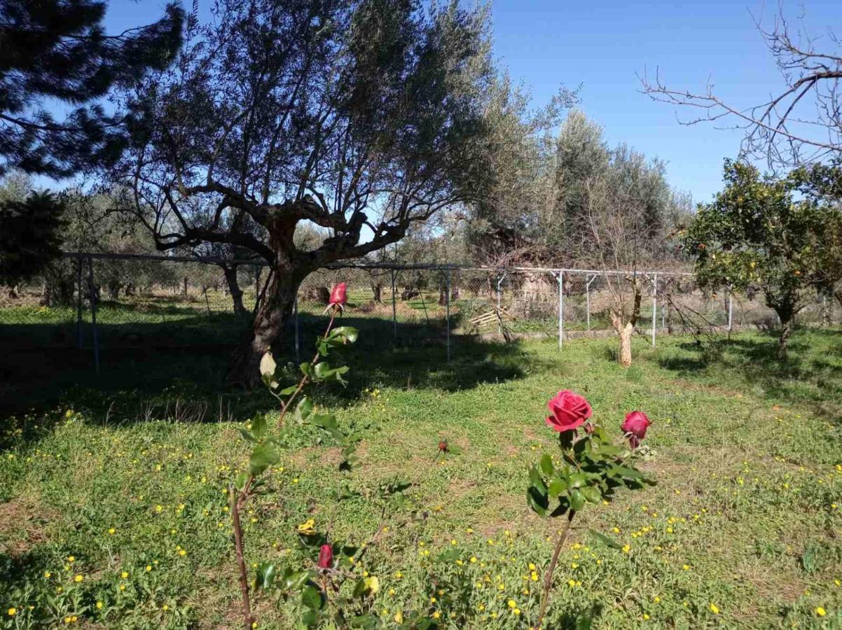 Apartmán Manousi 1- Ground Floor Mystras Exteriér fotografie
